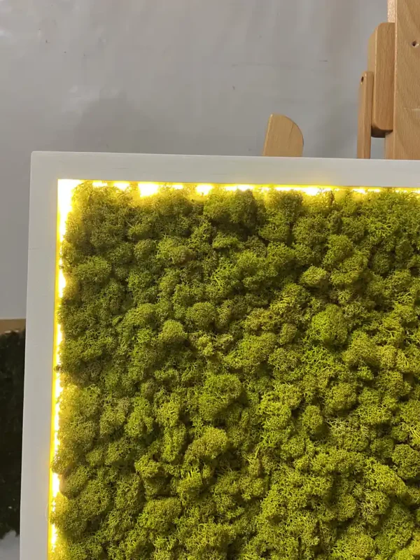 Moss Wall Art with Reindeer Moss and LED Lighting - Image 3