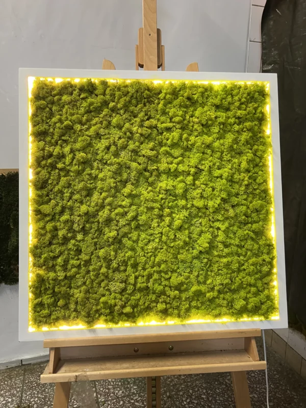 Moss Wall Art with Reindeer Moss and LED Lighting - Image 4