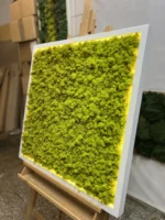 Moss Wall Art with Reindeer Moss and LED Lighting - Image 5