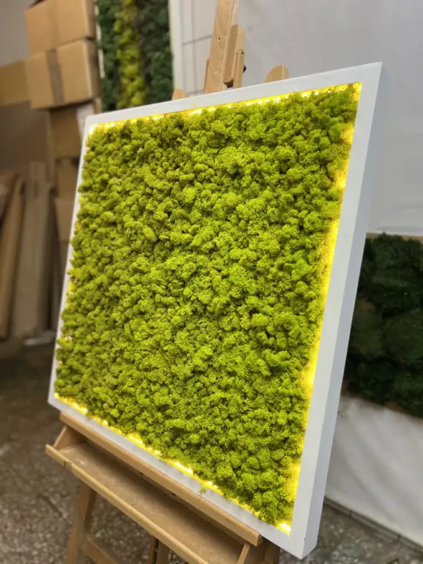 Moss Wall Art with Reindeer Moss and LED Lighting - Image 5