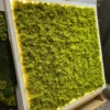 Square reindeer moss wall art with illuminated LED backlight in a white frame on a wooden easel