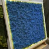 Blue reindeer moss wall art in a white frame with warm LED perimeter lighting on an easel