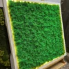 Vibrant green reindeer moss wall art in a white frame with glowing LED perimeter light on a wooden easel