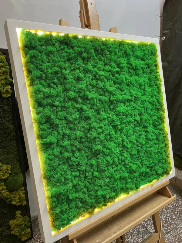 Moss Wall Art with Reindeer Moss and LED Lighting - Image 2