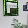 Square wall mirror with vibrant green moss border, black wooden frame, and LED lighting above indoor plant