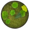Round preserved plant wall art featuring mixed moss textures and a fern leaf in a circular frame