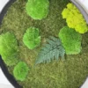 Angled view of round wall art with green ball moss, a fern frond, and flat moss inside a black frame