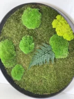 Round Moss Wall Art with Moss and Fern (Bun Moss, Reindeer Moss, Flat Moss) - Image 2