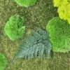 Close-up of green preserved moss wall art with a fern leaf, textured ball moss, and flat moss