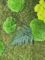 Round Moss Wall Art with Moss and Fern (Bun Moss, Reindeer Moss, Flat Moss) - Image 3