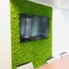 Bright green preserved moss accent wall with a mounted flat-screen TV in a conference room