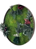 Round Moss Wall Art and Plants - Jungle Pictures
