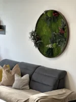 Round Moss Wall Art and Plants - Jungle Pictures - Image 3