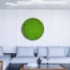 Close-up of round green reindeer moss wall art mounted on a white paneled wall above a sofa