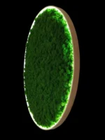 Round Moss Wall Art with Preserved Reindeer Moss and LED Lighting
