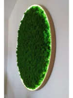 Round Moss Wall Art with Preserved Reindeer Moss and LED Lighting - Image 3