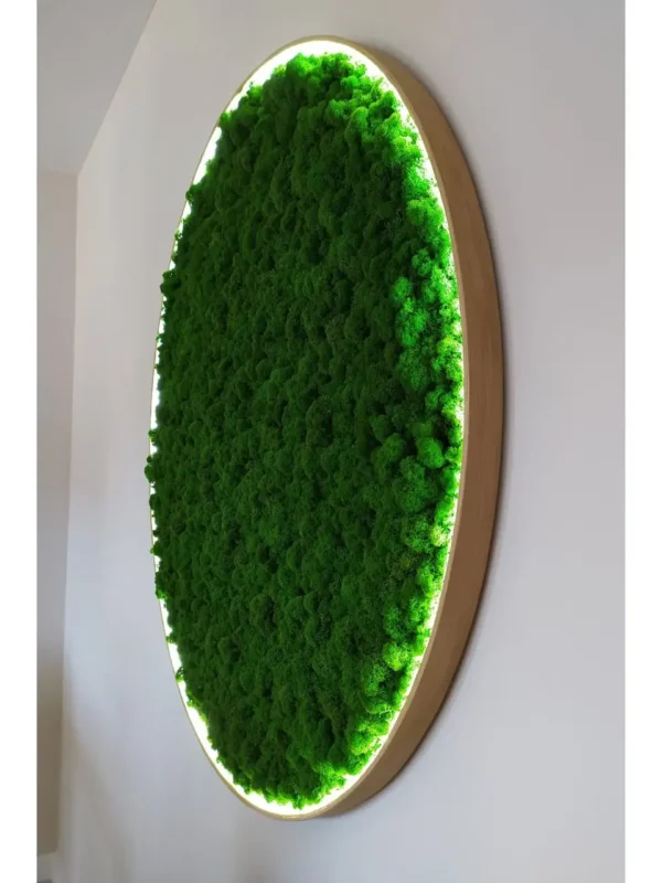 Round Moss Wall Art with Preserved Reindeer Moss and LED Lighting - Image 3