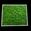 White framed wall panel filled with green preserved ball moss against a black background