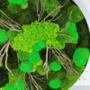 Close-up of circular wall art with textured green bun moss, reindeer moss, and wooden branches in a black frame