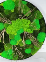 Round Moss Wall Art with Moss and Driftwood - Image 2