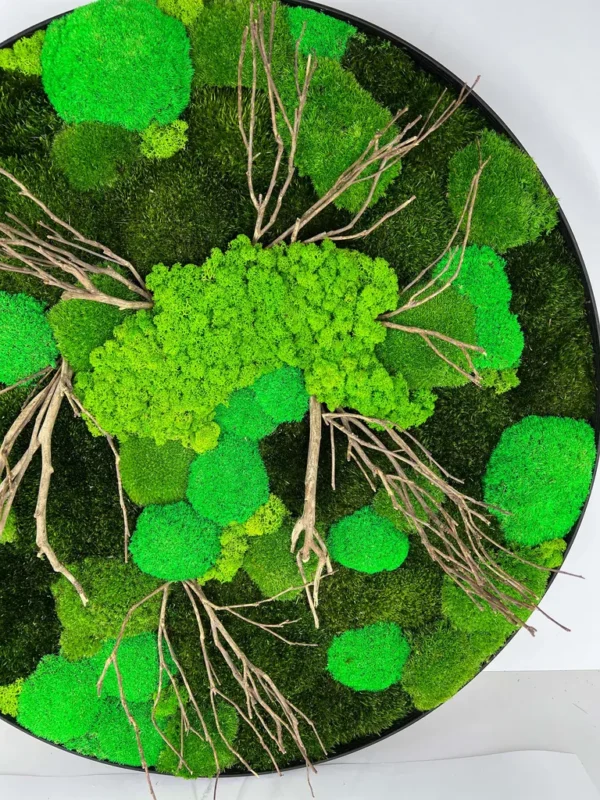 Round Moss Wall Art with Moss and Driftwood - Image 2
