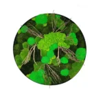 Round Moss Wall Art with Moss and Driftwood
