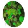 Round moss wall art with green bun moss and protruding driftwood branches in a black frame, side perspective