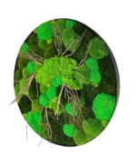 Round Moss Wall Art with Moss and Driftwood - Image 3