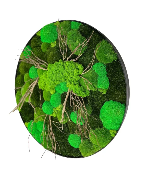 Round Moss Wall Art with Moss and Driftwood - Image 3