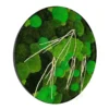 Round preserved moss wall art featuring mixed moss textures and driftwood branches in a circular frame.