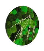 Round Moss Wall Art Mix with Driftwood