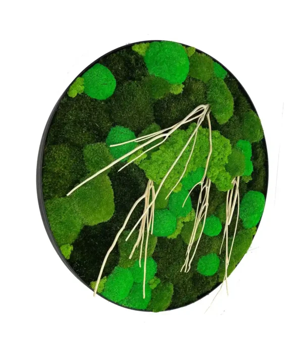 Round preserved moss wall art featuring mixed moss textures and driftwood branches in a circular frame.