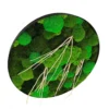 Angled view of round wall art with textured green bun moss and natural driftwood branches in a black frame.