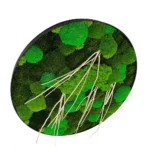 Round Moss Wall Art Mix with Driftwood - Image 2