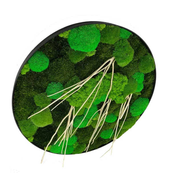 Round Moss Wall Art Mix with Driftwood - Image 2