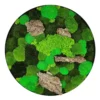 Round moss wall art with mixed preserved moss and natural wood pieces in circular frame