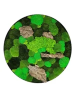 Round Moss Wall Art with Mixed Moss and Driftwood