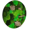 Angled view of round wall art with green preserved moss, natural bark wood accents, and slim black frame
