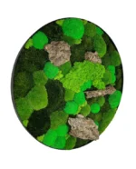 Round Moss Wall Art with Mixed Moss and Driftwood - Image 2