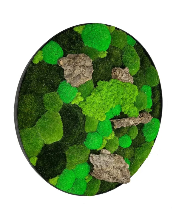 Round Moss Wall Art with Mixed Moss and Driftwood - Image 2