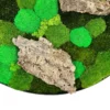 Detail view of round moss wall art with layered green moss varieties and rustic wood accents