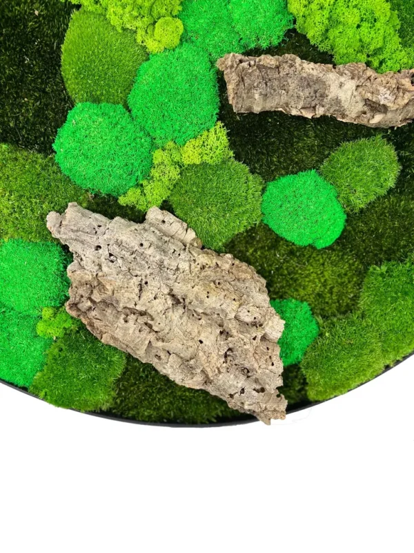 Round Moss Wall Art with Mixed Moss and Driftwood - Image 4