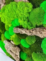 Round Moss Wall Art with Mixed Moss and Driftwood - Image 3