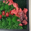 Close-up of green preserved moss, red floral blooms, and eucalyptus foliage within a black wooden frame.