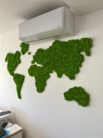 Iceland Moss World Map – Mainland - Image 5