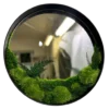 Round wall mirror featuring preserved moss and fern botanical arrangement