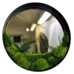 Round Mirror with Ball Moss, Flat Moss and Fern