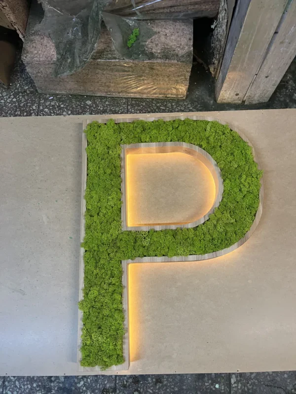 Wooden Letters with LED and Real Moss - Image 4