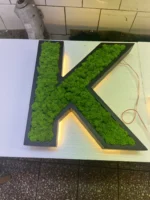 Wooden Letters with LED and Real Moss - Image 5
