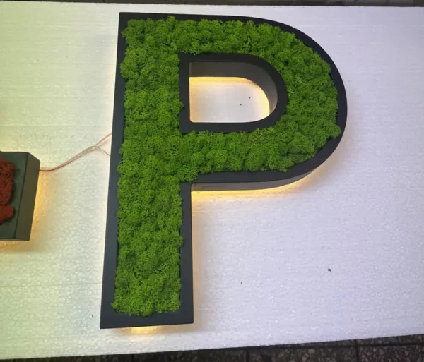 Wooden Letters with LED and Real Moss - Image 6